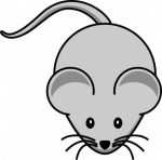 Mouse Color Decal