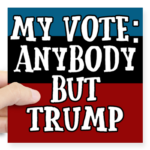 MY VOTE ANYBODY BUT TRUMP STICKER