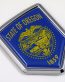 Oregon US state flag domed chrome emblem car badge decal