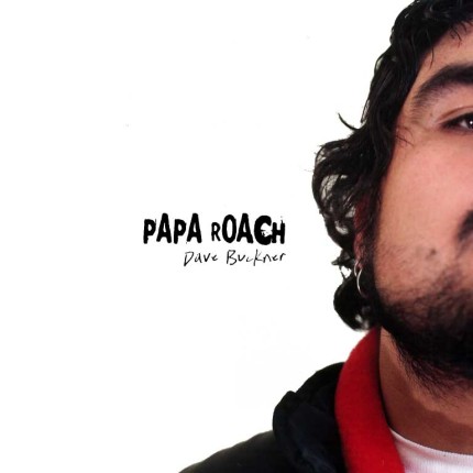 Papa Roach Color Band Decal