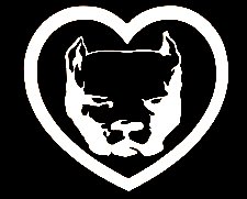 pitbull head in heart sticker