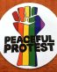 Pride Peaceful Protest Sticker