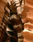 Rocks and Canyons Vinyl Wall Graphics 55