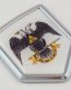 scotich rite shield 3D Crest Chrome Emblem
