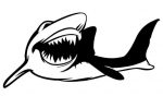 Shark Sticker