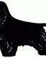 056 Cocker Spaniel Decal