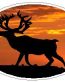 Oval Deer Decal