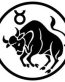 Taurus Decal