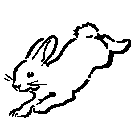 978 Rabbit Adhesive Vinyl Decal