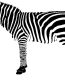 African Animal Decal 41