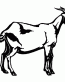 094 Goat Decal