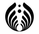 bassnectar dance decal