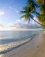 Beaches and Coastal Vinyl Wall Graphics 124
