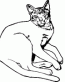 Cat Decals 02