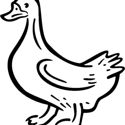 Duck Vinyl Car or WALL Decal Stickers 02