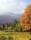 Fall Colors Adhesive Wall Graphics 46