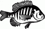 Fish Decals 08