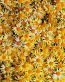 Flowers and Plants Vinyl Wall Art 061