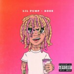 LIL PUMP RAP MUSIC ALBUM COVER STICKER 2