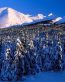 Mountain Scenes Wall Art Decals 064