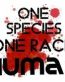 ONE SPECIES ONE RACE HUMAN ANTI RACISM STICKER