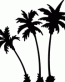 Palm Tree Decal 6