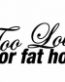 Too Low for Fat Hoes funny auto decal