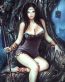 Fairies and Fantasy Wall Graphics 112