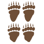 822F Bear Print Decals