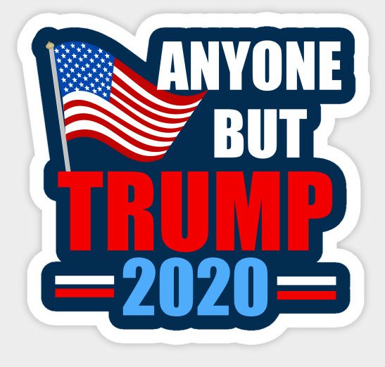 ANYONE BUT TRUMP 2020 USA STICKER