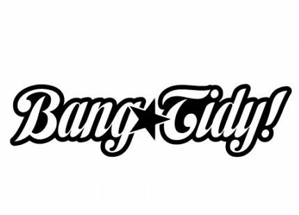 Bang Tidy Funny Guy Sticker