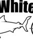 Boat Lettering Decal 31a