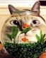 Cat Vinyl Wall Graphics 17
