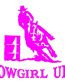 Cowgirl Up Barrel Racer Decal
