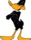 Daffy 01