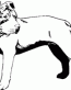 Dog Breed Decal 07