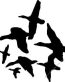 Duck Hunting Decal Sticker 10