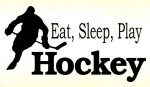 Eat Sleep Play HOCKEY 3