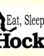 Eat Sleep Play HOCKEY 3
