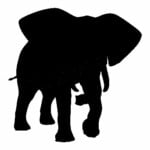 Elephant Decal 018