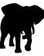 Elephant Decal 018