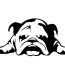 English-Bulldog-Tired-Puppy-Dog-Rescue-Vinyl-Sticker