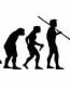 Evolution Sport Stickers GOLF