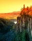 Fall Colors Adhesive Wall Graphics 17