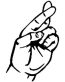 Fingers Crossed Funny Decal