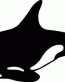 Fish Decals 04