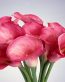Flowers and Plants Vinyl Wall Art 213