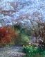 Landscape Vinyl Wall Graphic Decals 49