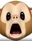 monkey scared emoji