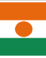 Niger Flag Decal